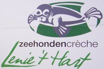 zeehondencreche holanda